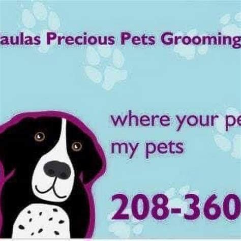 Precious pets grooming Spa
